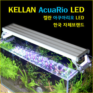 켈란 아쿠아리오 LED60(화이트+레드)